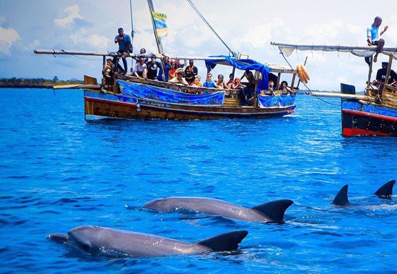 Kisite-Mpunguti Marine Park, South Coast (near Wasini Island), Kenya